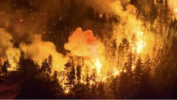 Incendios forestales.