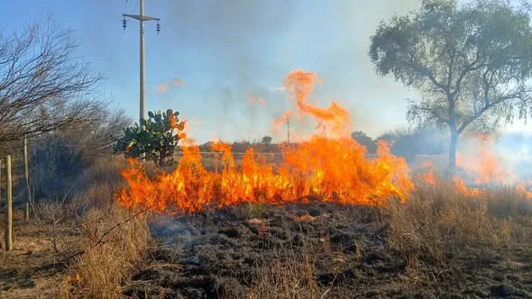 Incendios forestales. 
