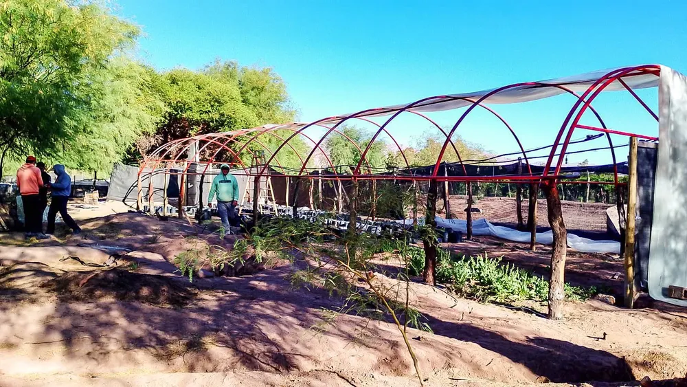 Vivero Municipal de Anillaco. 