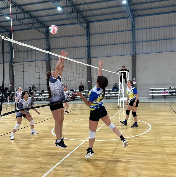 Vóley femenino. 