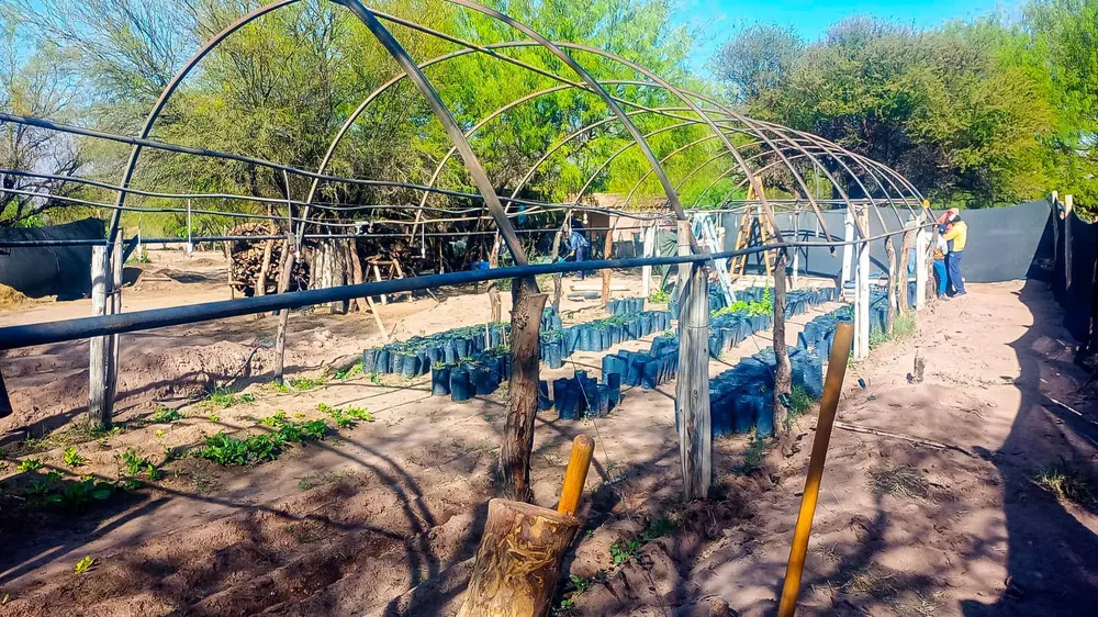 Vivero Municipal de Anillaco. 