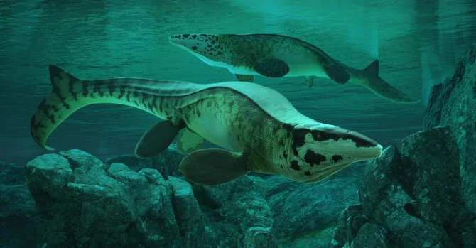 T Rex de los mares.