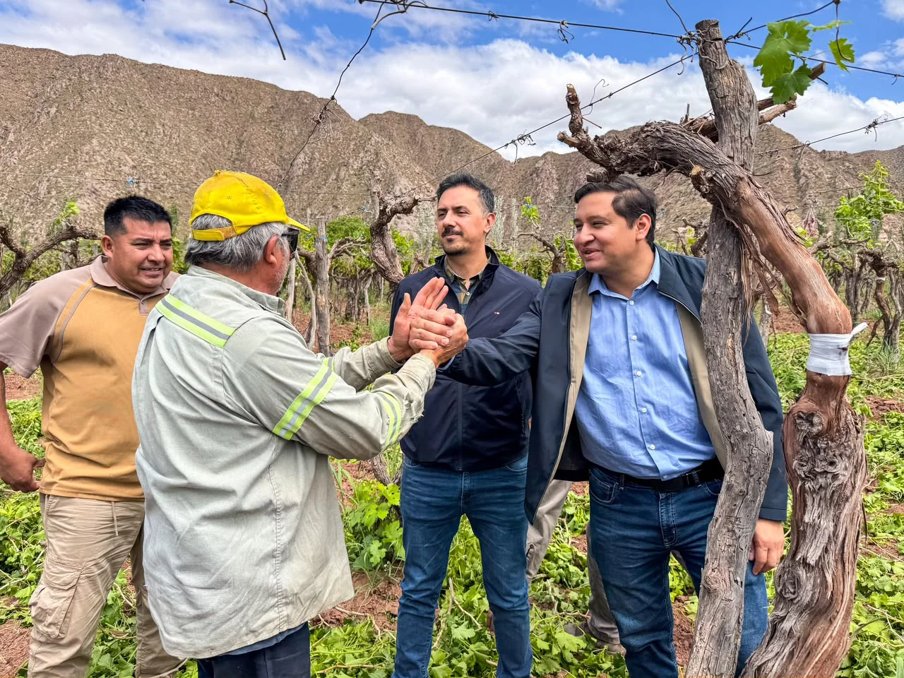 Recambio Varietal.