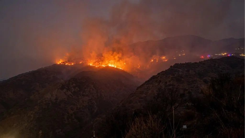 Incendio forestal.