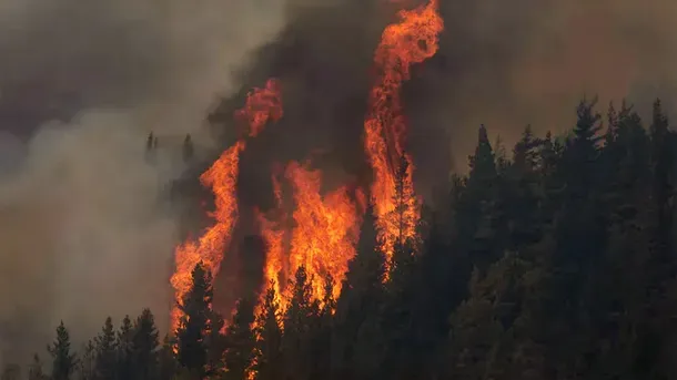 Incendios forestales en la patagonia. 