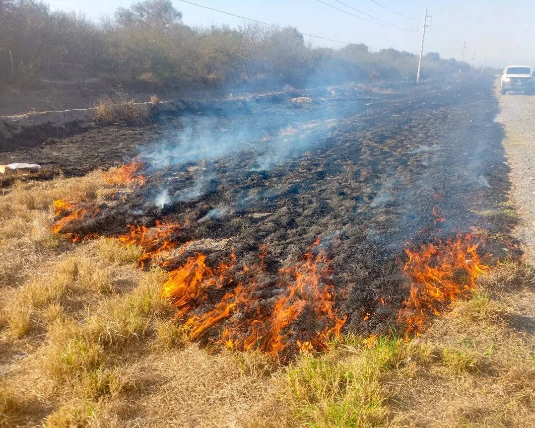 Incendios forestales.