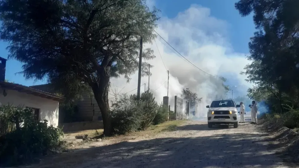 Operativos contra el dengue. 