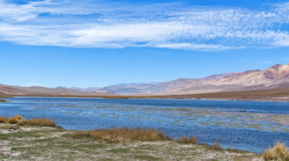  Laguna Cortaderas.