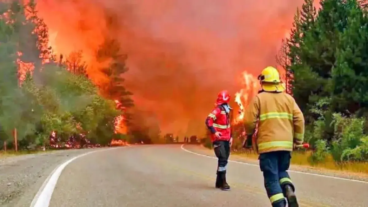 Incendios en la patagonia. 
