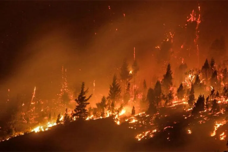 Incendios forestales en la patagonia argentina. 