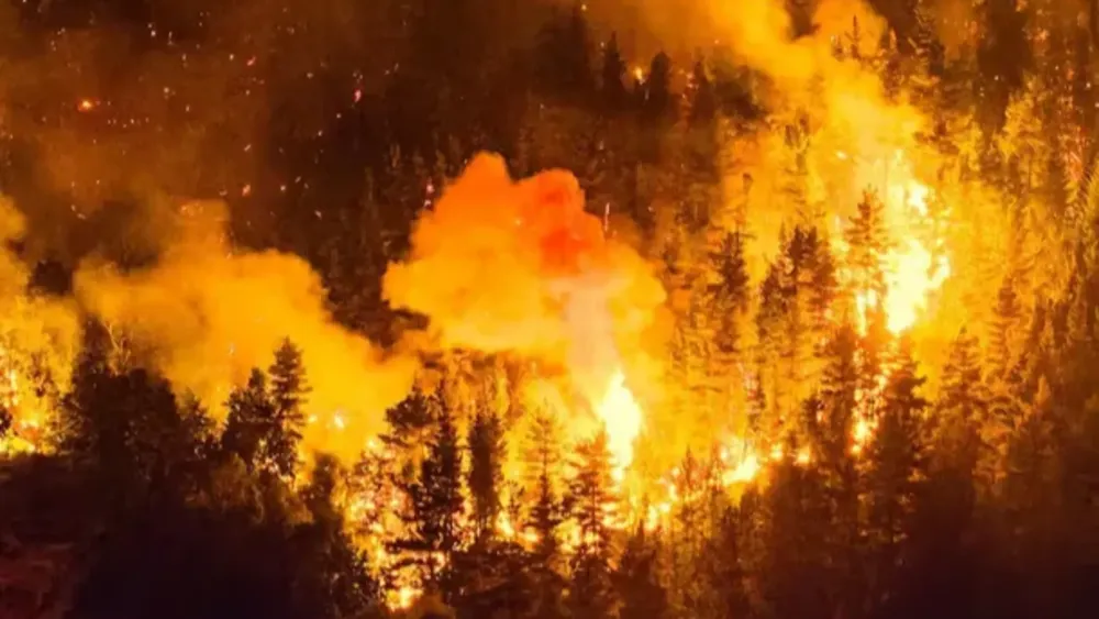 Incendios forestales en la patagonia. 