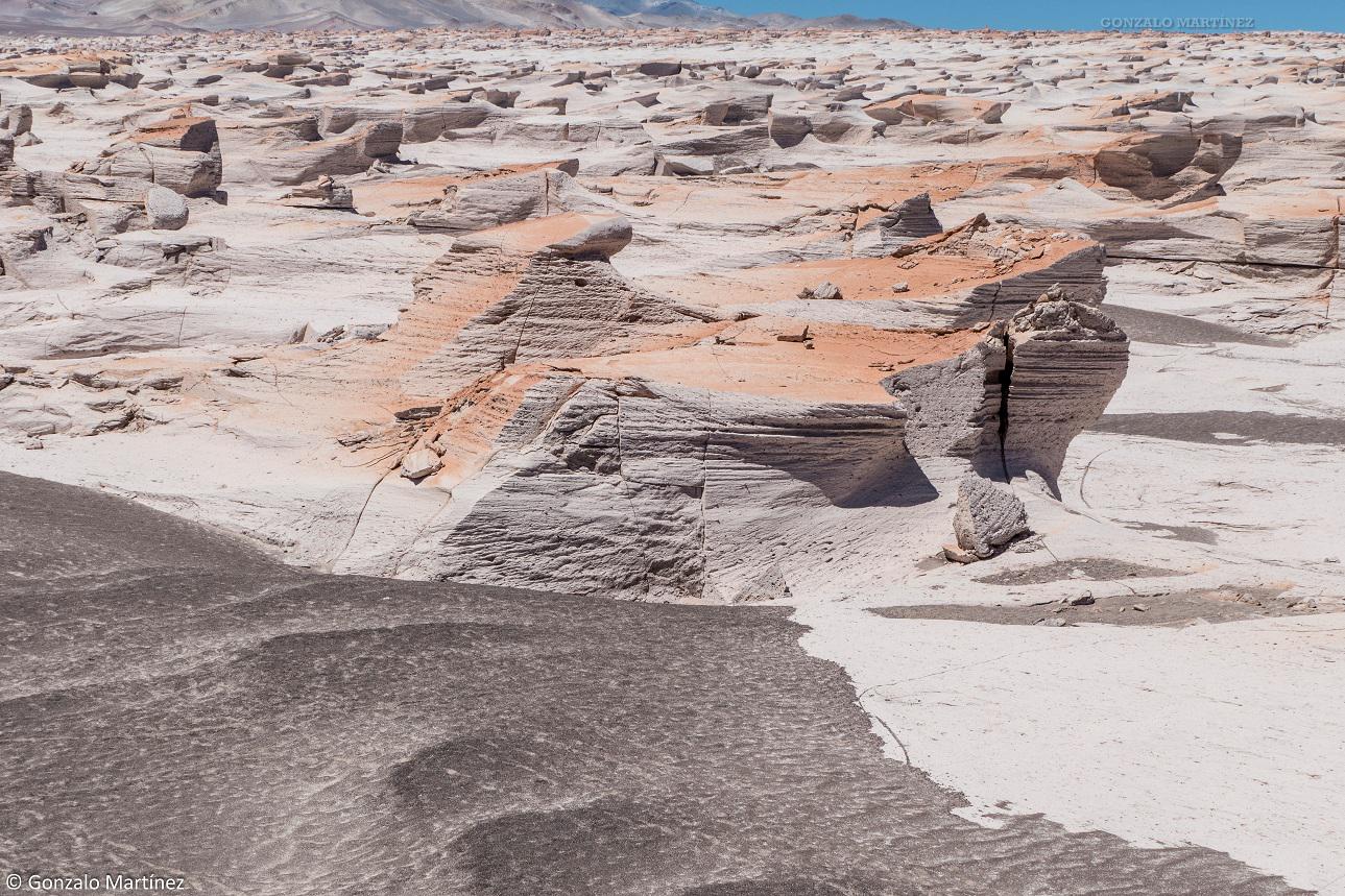 Área natural protegida Campo de Piedra Pómez, Antofagasta de la Sierra, Catamarca.