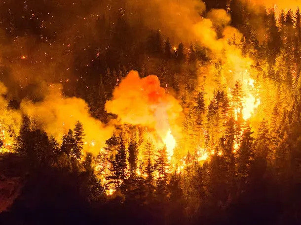 Incendios en la patagonia. 
