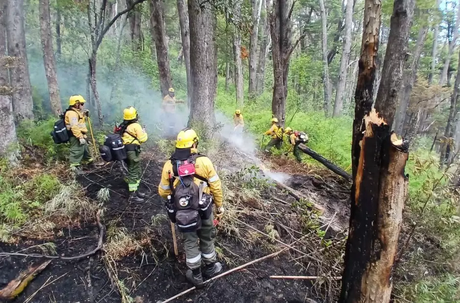 Brigada de Lucha contra Incendios Forestales de Catamarca.